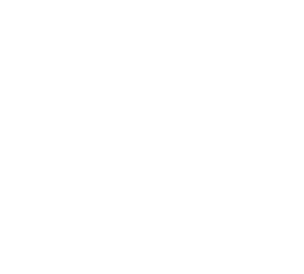 canisses