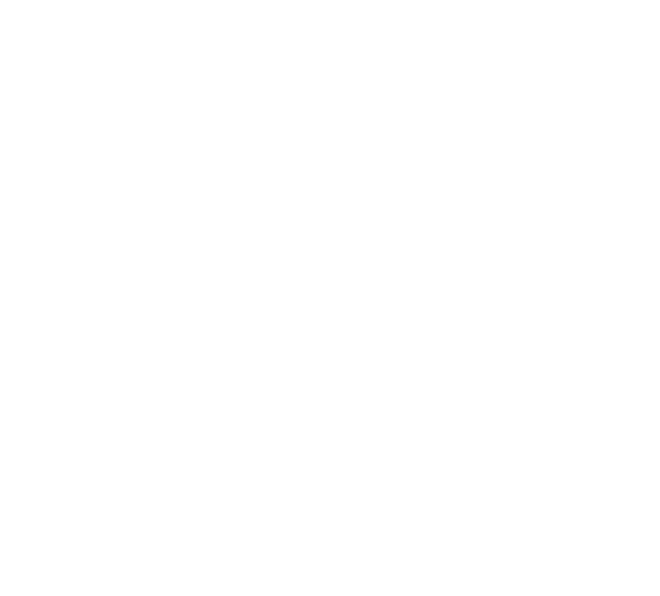 canisses